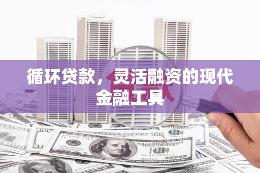 云龙循环贷款，灵活融资的现代金融工具