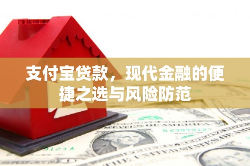 云龙支付宝贷款，现代金融的便捷之选与风险防范