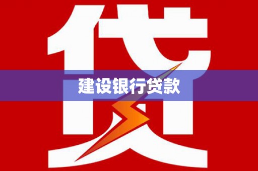 云龙建设银行贷款