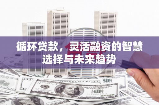 云龙循环贷款，灵活融资的智慧选择与未来趋势