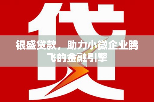 云龙银盛贷款，助力小微企业腾飞的金融引擎