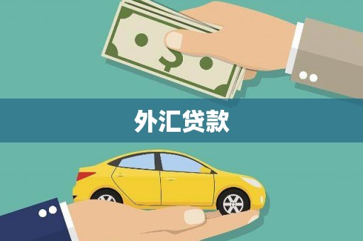 云龙外汇贷款