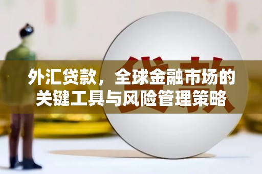 云龙外汇贷款，全球金融市场的关键工具与风险管理策略
