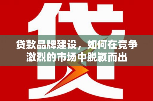 云龙贷款品牌建设，如何在竞争激烈的市场中脱颖而出