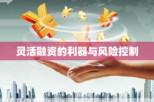 云龙灵活融资的利器与风险控制