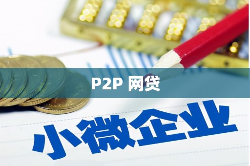 云龙P2P 网贷
