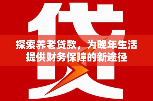 云龙探索养老贷款，为晚年生活提供财务保障的新途径
