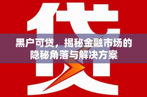 云龙黑户可贷，揭秘金融市场的隐秘角落与解决方案