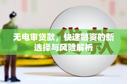 云龙无电审贷款，快速融资的新选择与风险解析