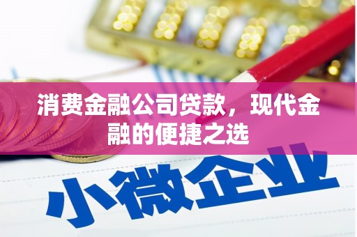云龙消费金融公司贷款，现代金融的便捷之选