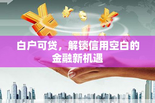 云龙白户可贷，解锁信用空白的金融新机遇