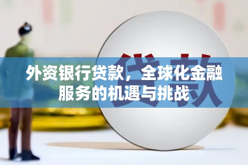 云龙外资银行贷款，全球化金融服务的机遇与挑战