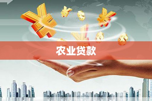 云龙农业贷款