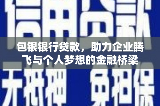 云龙包银银行贷款，助力企业腾飞与个人梦想的金融桥梁