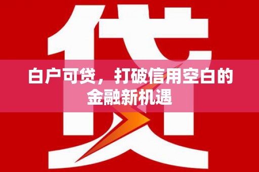 云龙白户可贷，打破信用空白的金融新机遇