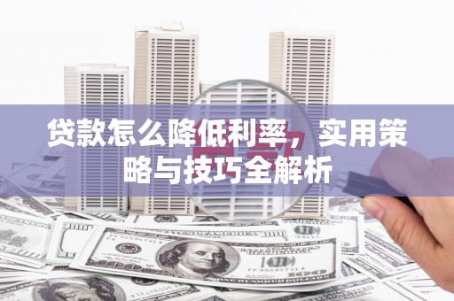云龙贷款怎么降低利率，实用策略与技巧全解析