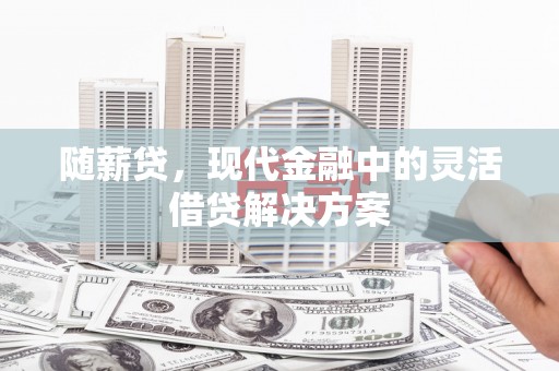 云龙随薪贷，现代金融中的灵活借贷解决方案