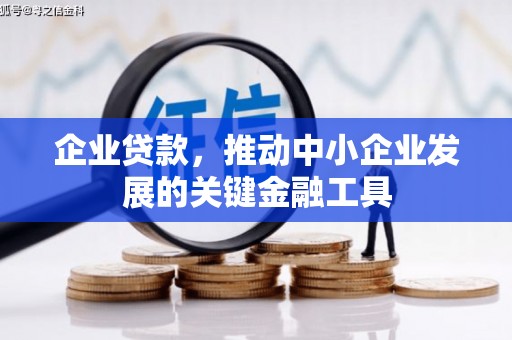 云龙企业贷款，推动中小企业发展的关键金融工具