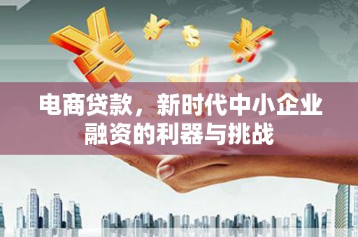 云龙电商贷款，新时代中小企业融资的利器与挑战