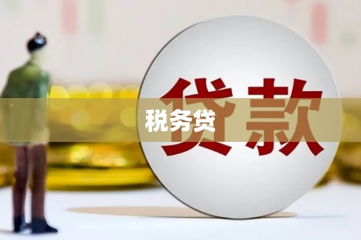 云龙税务贷