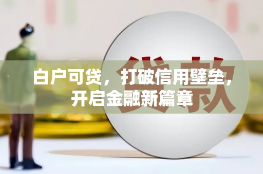 云龙白户可贷，打破信用壁垒，开启金融新篇章
