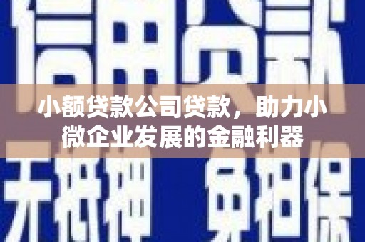 云龙小额贷款公司贷款，助力小微企业发展的金融利器