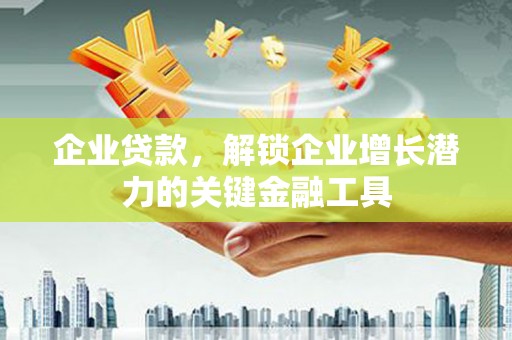 云龙企业贷款，解锁企业增长潜力的关键金融工具