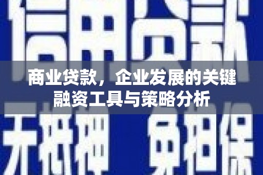 云龙商业贷款，企业发展的关键融资工具与策略分析