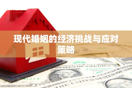 云龙现代婚姻的经济挑战与应对策略