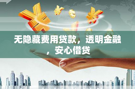 云龙无隐藏费用贷款，透明金融，安心借贷