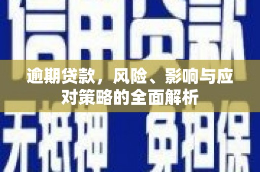 云龙逾期贷款，风险、影响与应对策略的全面解析