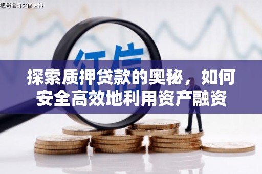 云龙探索质押贷款的奥秘，如何安全高效地利用资产融资