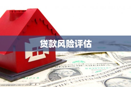 云龙贷款风险评估
