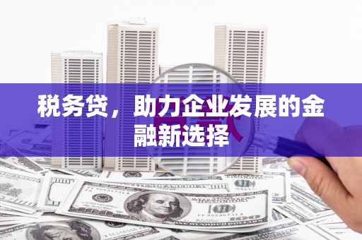云龙税务贷，助力企业发展的金融新选择