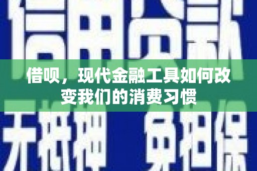 云龙借呗，现代金融工具如何改变我们的消费习惯