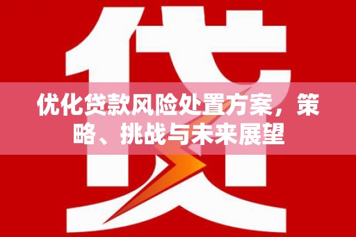 云龙优化贷款风险处置方案，策略、挑战与未来展望