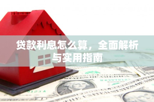 云龙贷款利息怎么算，全面解析与实用指南