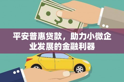 云龙平安普惠贷款，助力小微企业发展的金融利器