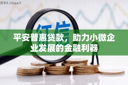 云龙平安普惠贷款，助力小微企业发展的金融利器
