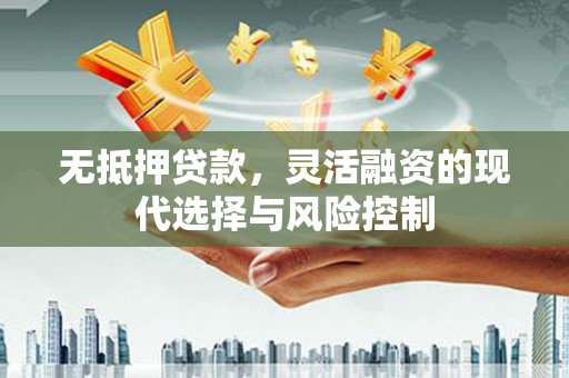 云龙无抵押贷款，灵活融资的现代选择与风险控制