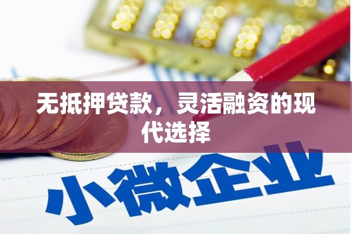 云龙无抵押贷款，灵活融资的现代选择