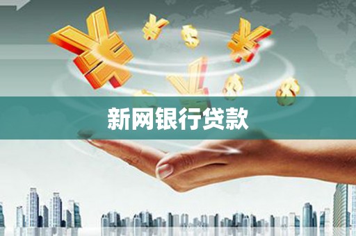 云龙新网银行贷款