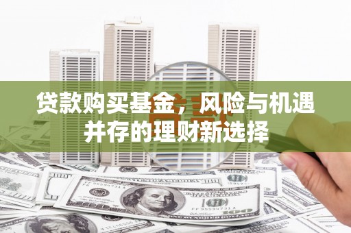 云龙贷款购买基金，风险与机遇并存的理财新选择
