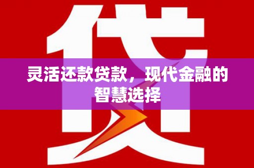 云龙灵活还款贷款，现代金融的智慧选择