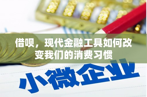 云龙借呗，现代金融工具如何改变我们的消费习惯