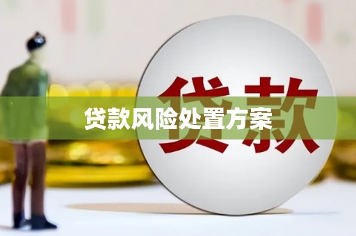 云龙贷款风险处置方案