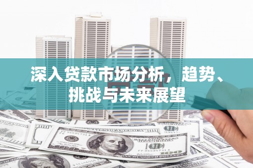 云龙深入贷款市场分析，趋势、挑战与未来展望