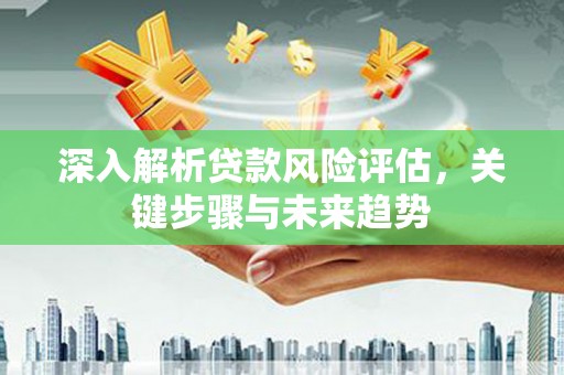 云龙深入解析贷款风险评估，关键步骤与未来趋势
