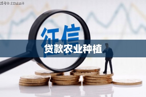 云龙贷款农业种植