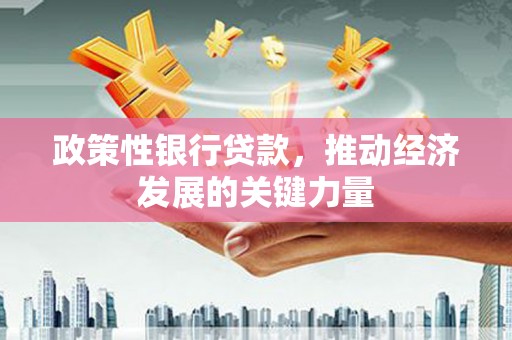 云龙政策性银行贷款，推动经济发展的关键力量